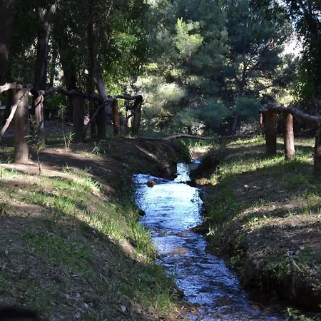 酒店 Hotel Central 2*